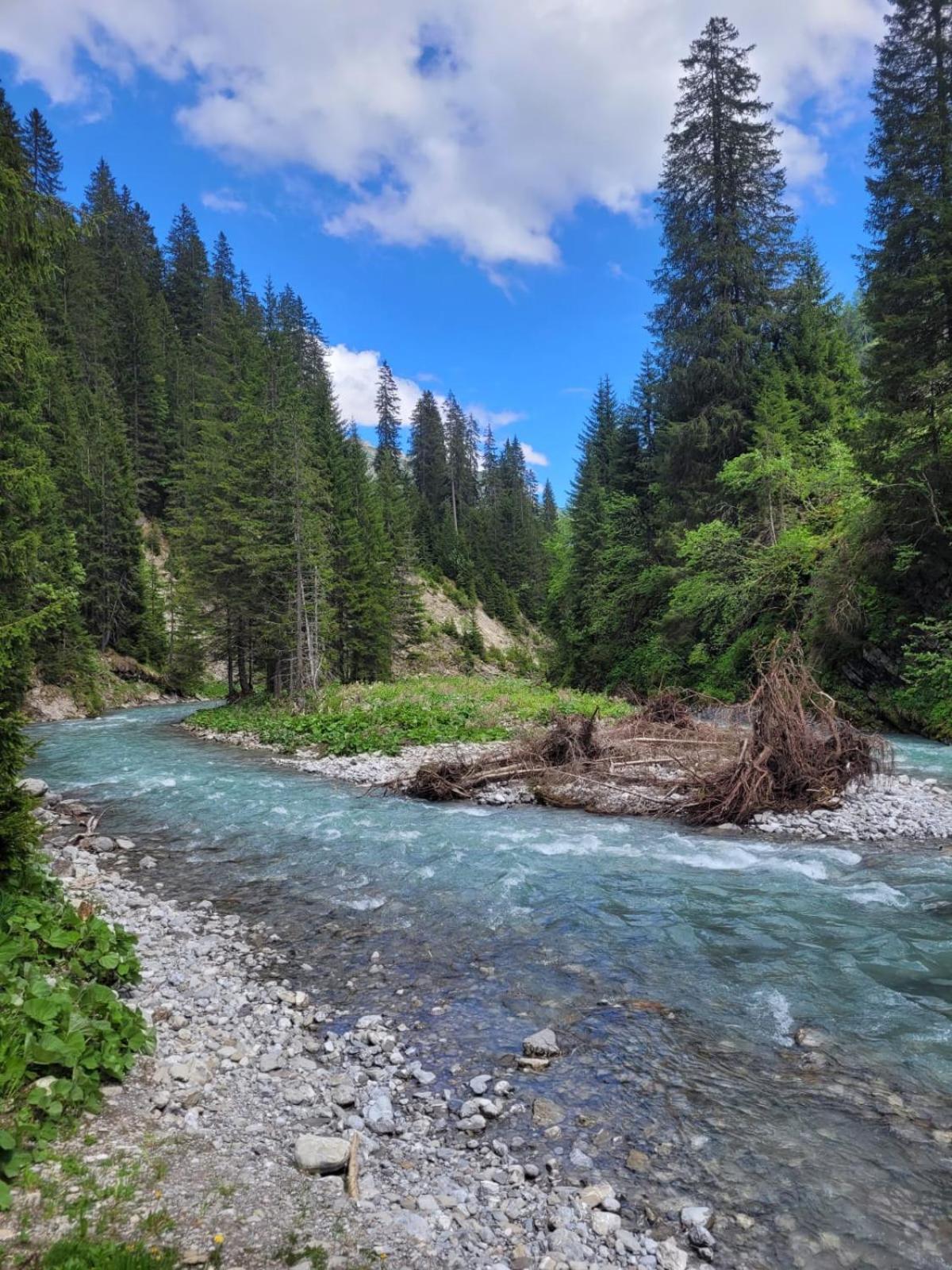 Aelpler Stuba Appartements Am Laerchenhof Warth  Dış mekan fotoğraf